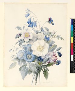 PD.847-1973 Spray of Summer Flowers, 1820 (wc und kvaš na pergamenu)